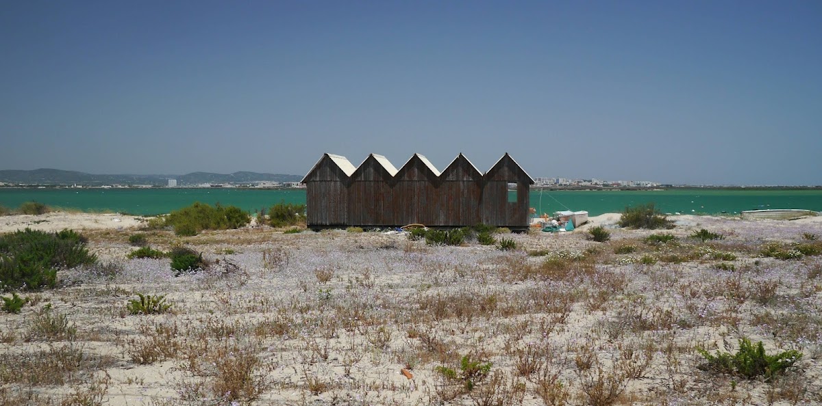 Praia de Faro, Faro