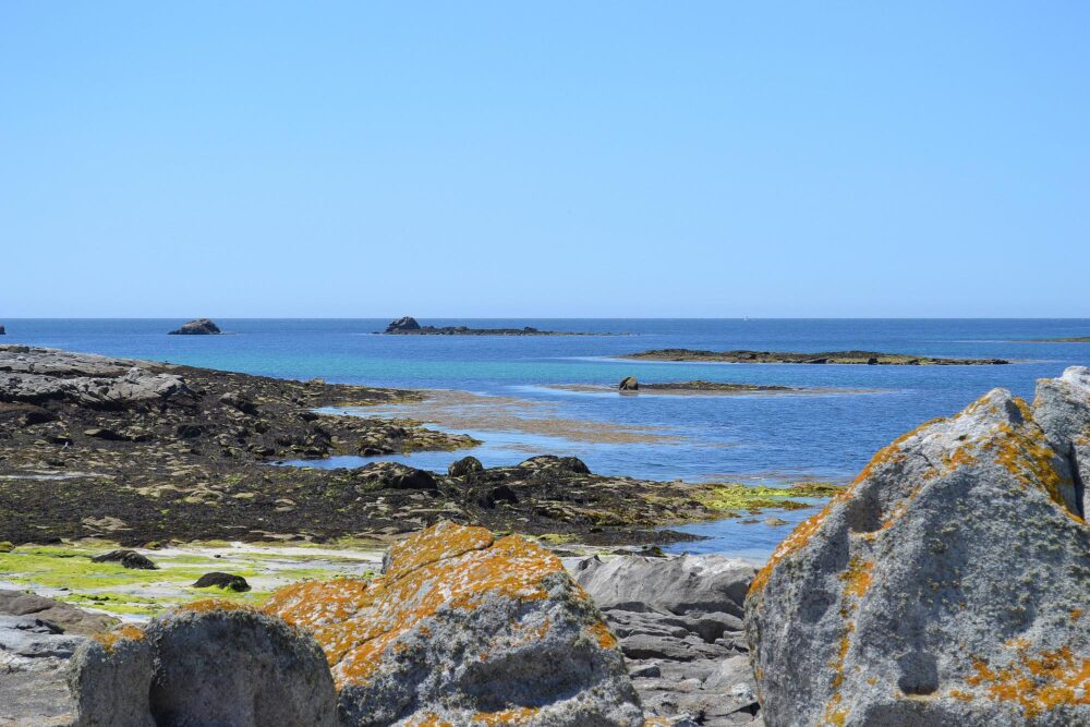 Réserve Naturelle des Glénan