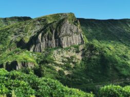 Rocha dos Bordoes, Flores