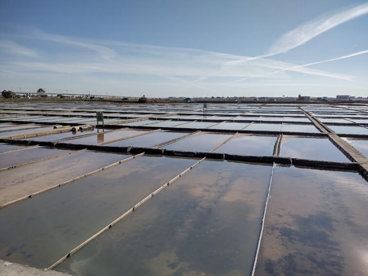 Saline de Aveiro, Aveiro
