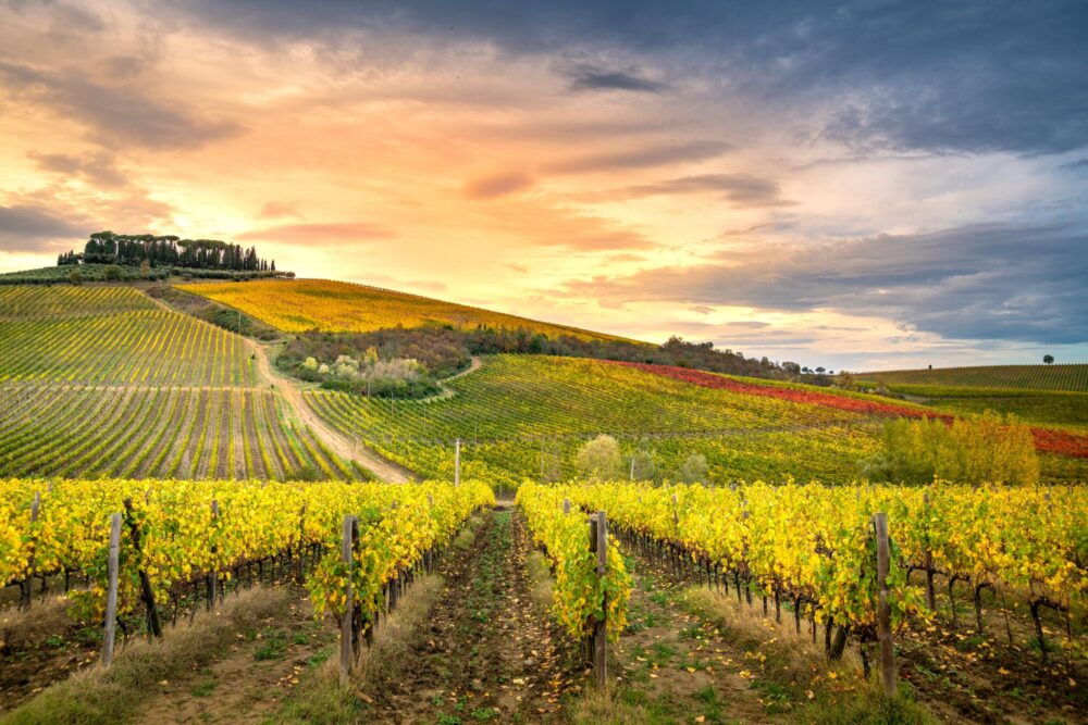 Strada del Chianti Classico