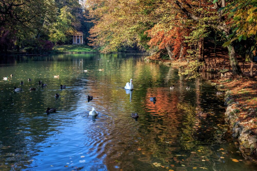 parc de Monza,Italie