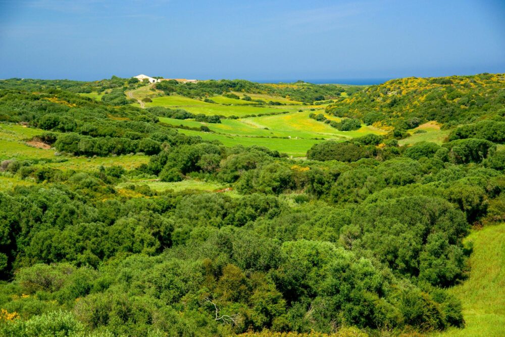 parc naturel de s’Albufera des Grau,Minorque