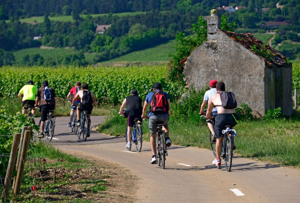 Balade en vélo électrique dans les vignobles de Bourgogne