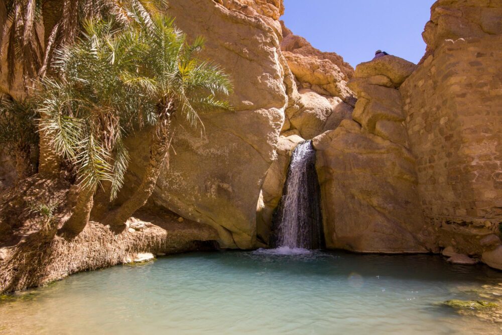 Cascade dans l'oasis de Chebika