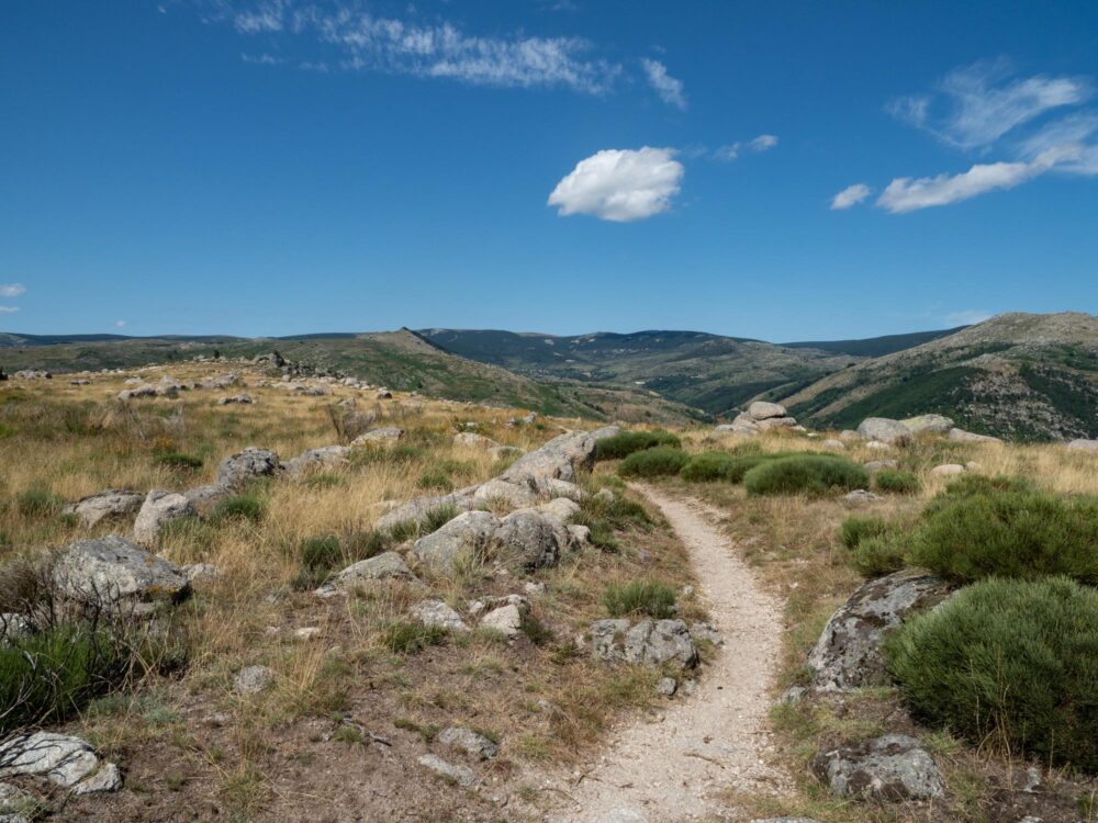 Chemin de Stevenson dans les Cévennes, France