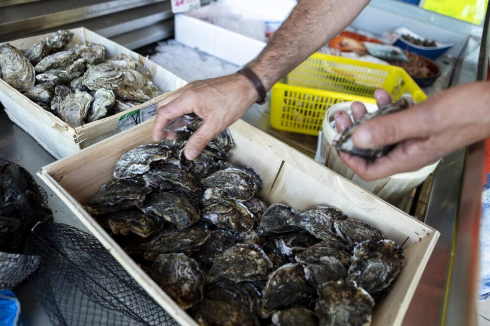 Étal d'huitres au marché d’Argelès-sur-Mer