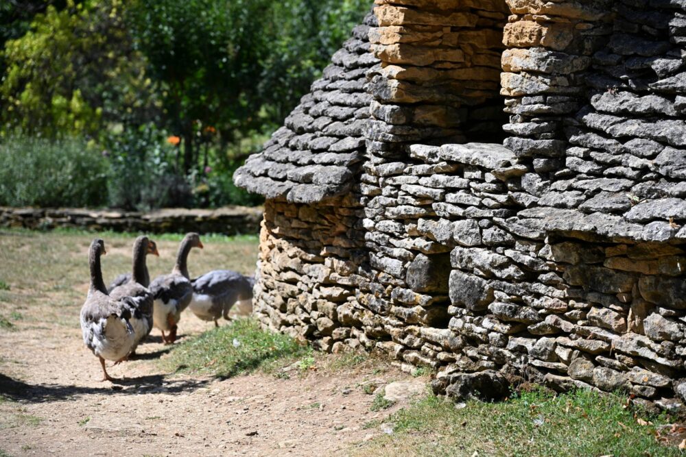 Ferme dans le Périgord, France