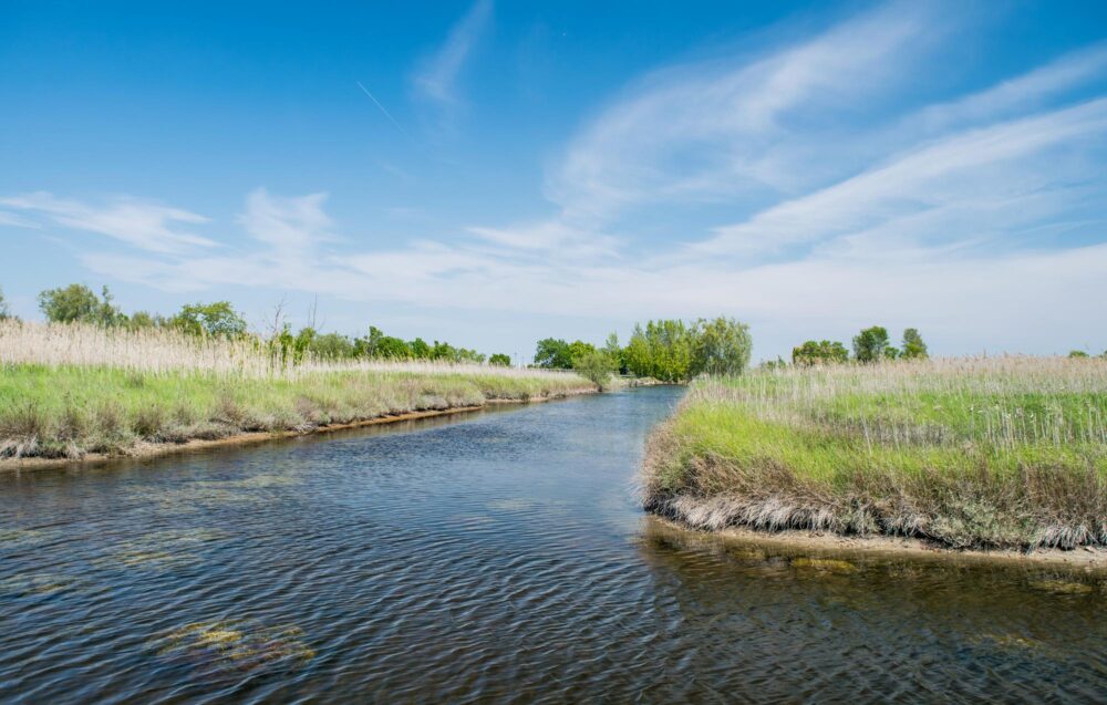 Île de Sant’Erasmo à Venise