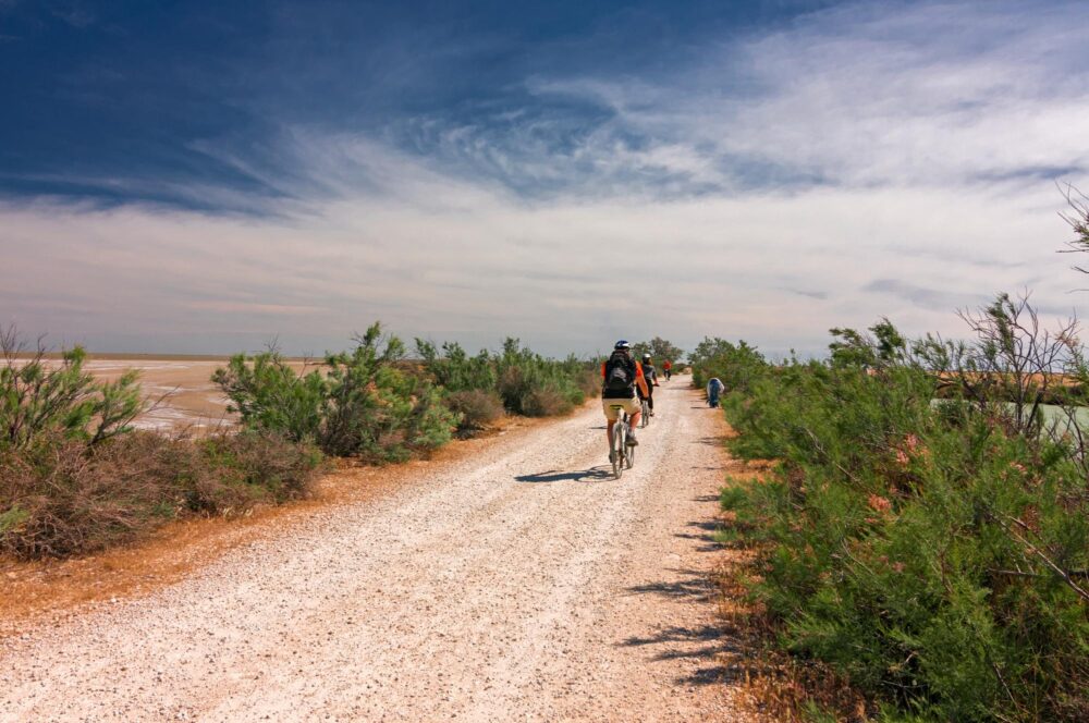 La Camargue à vélo, France