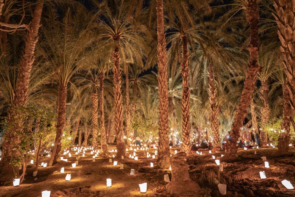La palmeraie de Tozeur de nuit