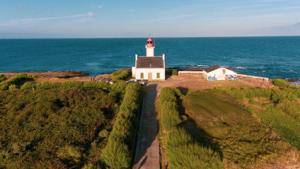 La pointe des chats