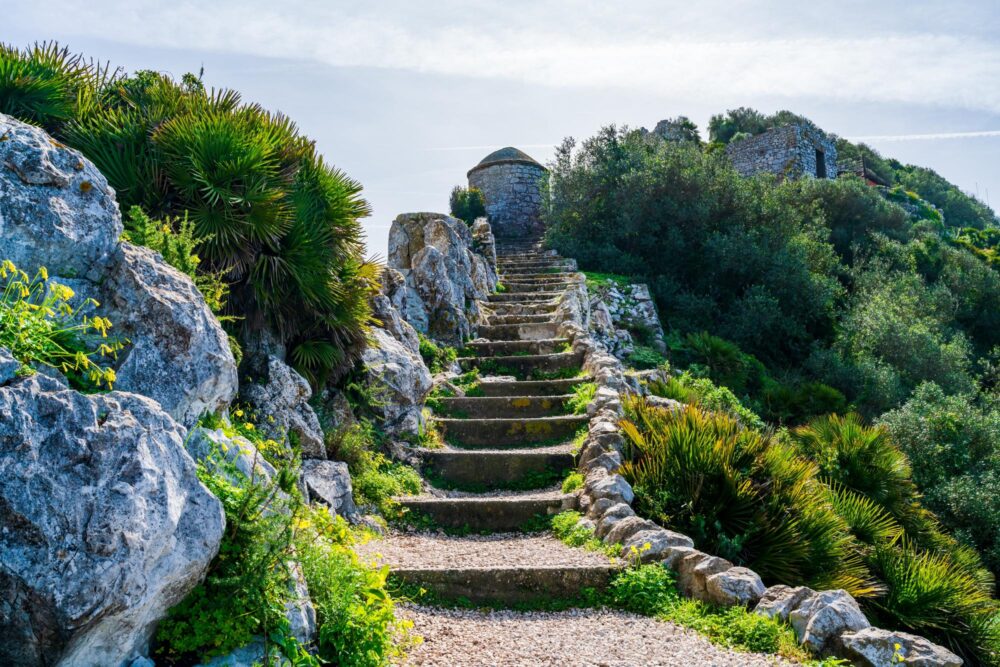 La réserve naturelle Upper Rock, Gibraltar