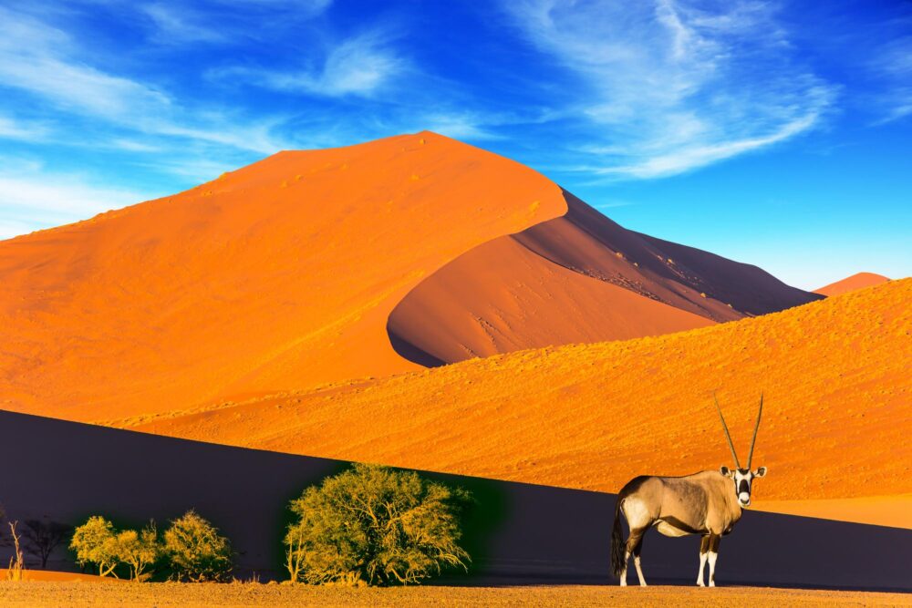 Le Namib, Namibie