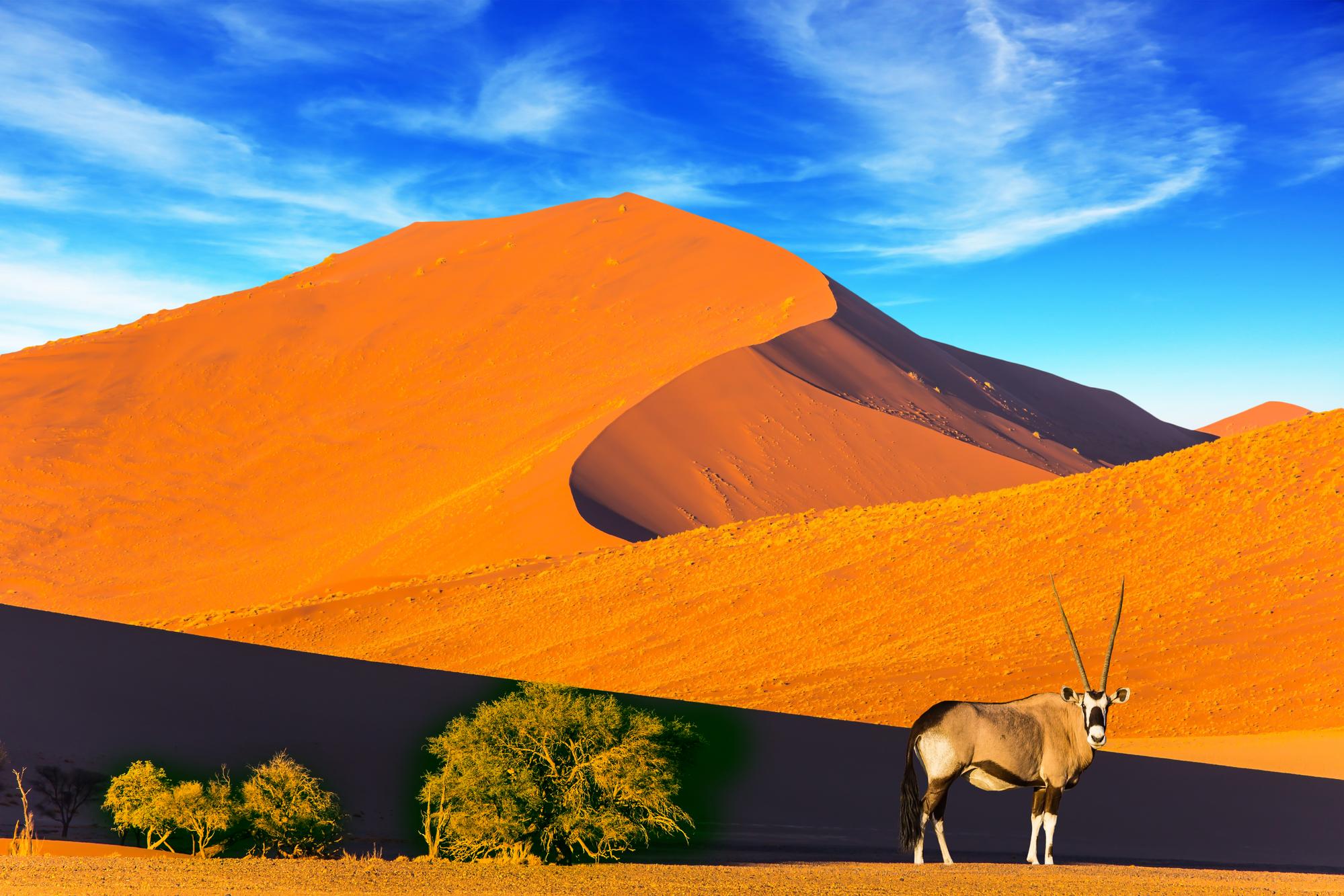 Le Namib, Namibie