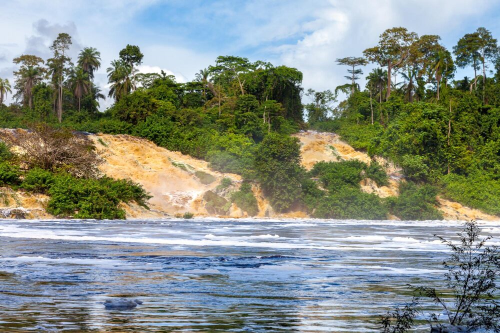 Le Parc national d'Ivindo, Gabon