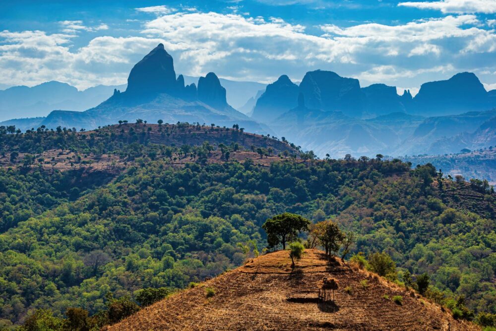 Le Parc national du Simien, Éthiopie