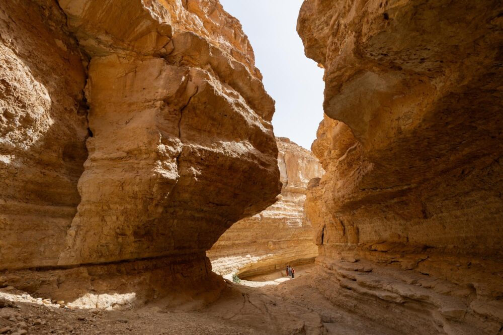 Le canyon de Tamerza dans le sud tunisien