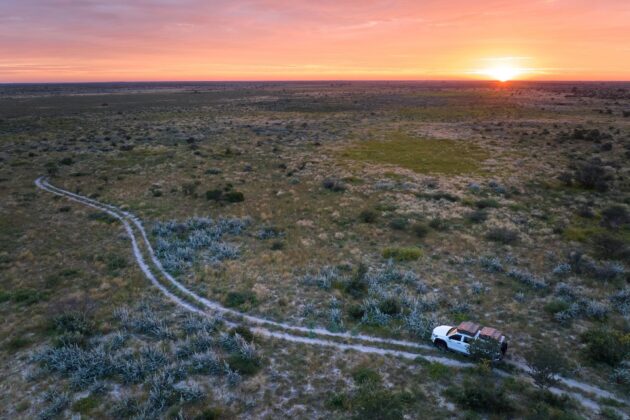 Le désert du Kalahari, Botswana