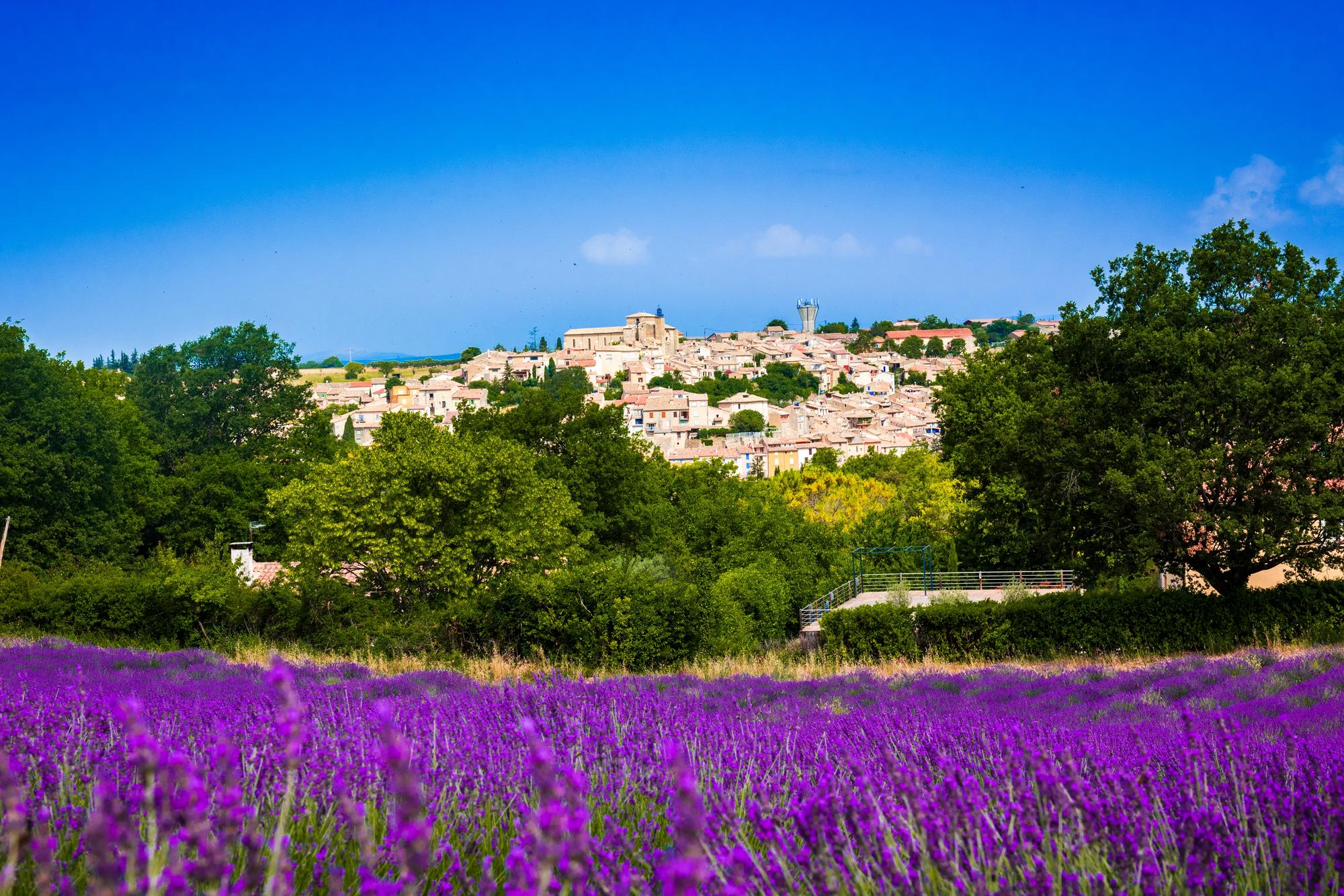Stilvolle Plateau De Valensole Fotosnull