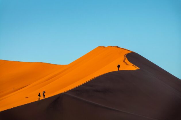 Les 10 parcs nationaux africains à voir absolument