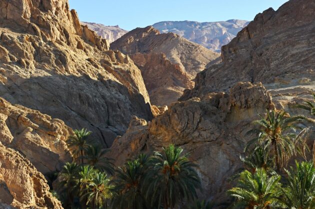Les paysages du sud tunisien