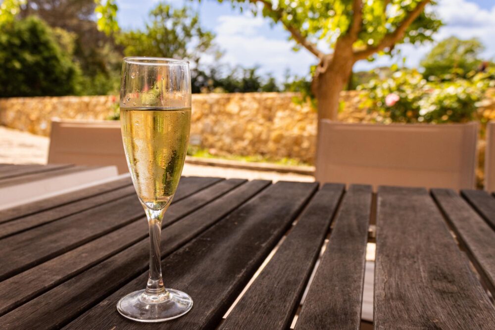 Un verre de cava dans les vignes du Penedès en Catalogne, Espagne