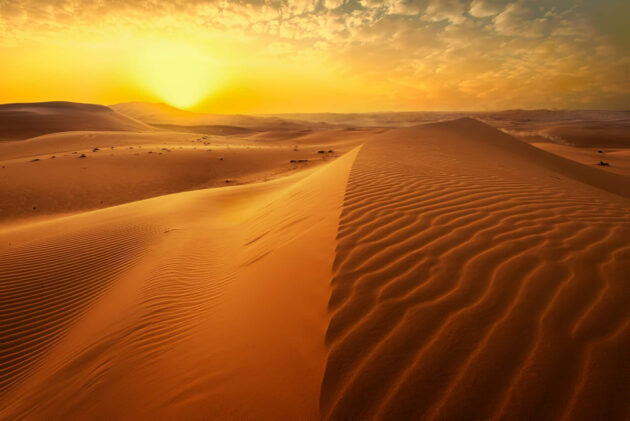 Activités au Moyen-Orient