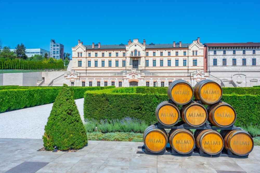 Château Mimi, Moldavie