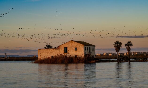 Coucher de soleil sur le parc de l'Albufera