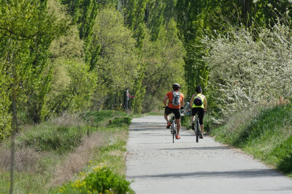 Des cyclistes sur la véloroute ViaRhôna à Valence en France