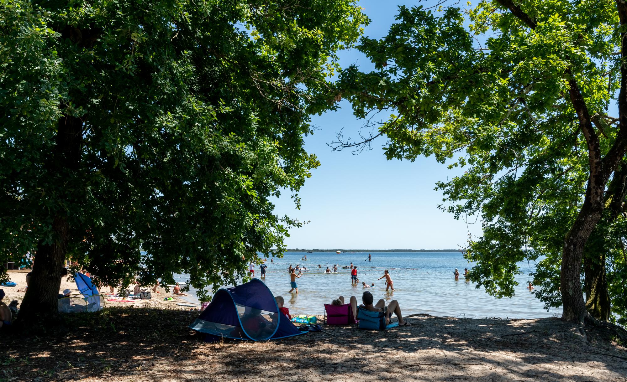 Étang de Cazaux-Sanguinet, Landes