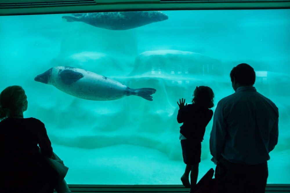 Famille visitant l’aquarium de Biarritz