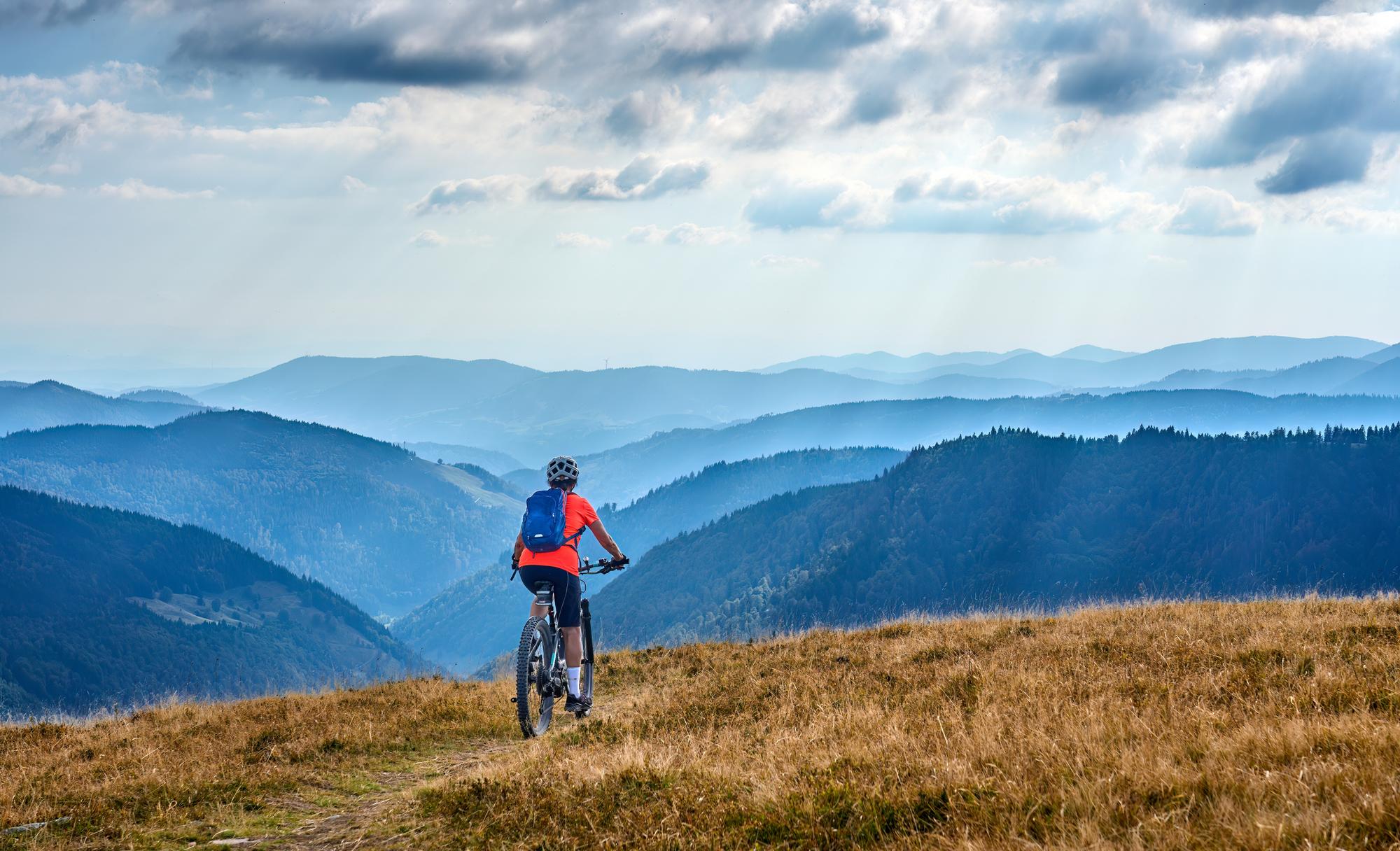 Feldberg