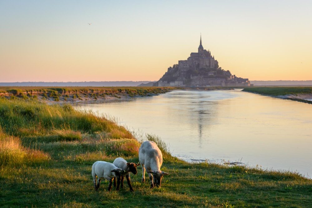 La Baie du Mont-Saint-Michel en Normandie, France