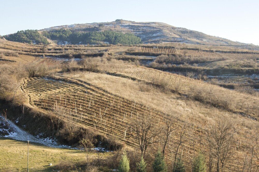 La Vallée viticole du Tikveš, Macédoine du Nord