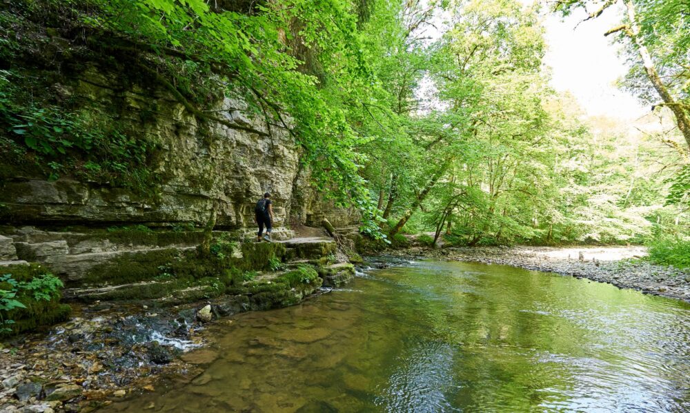 La vallée du Wutach