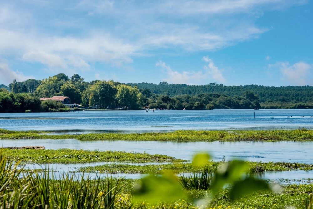 Lac de Léon, Landes