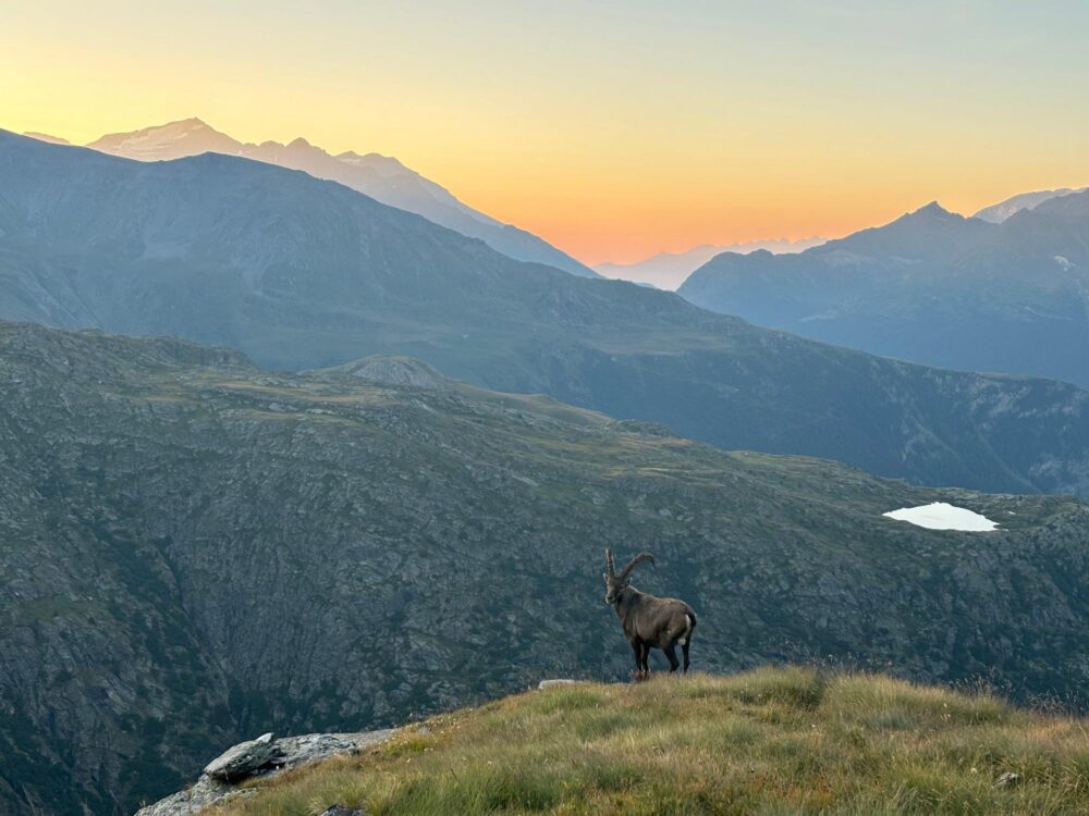 Le Parc national de la Vanoise en Savoie, France