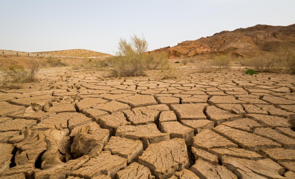 Le désert du Kyzylkoum, Ouzbékistan