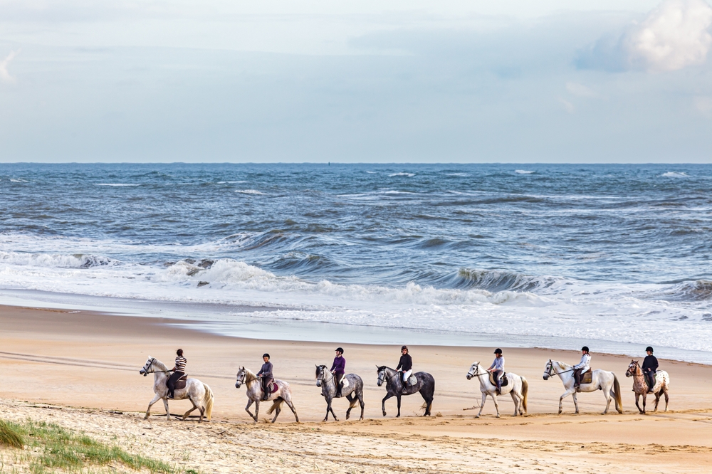 Plage de la Côte Sauvage, La Tremblade