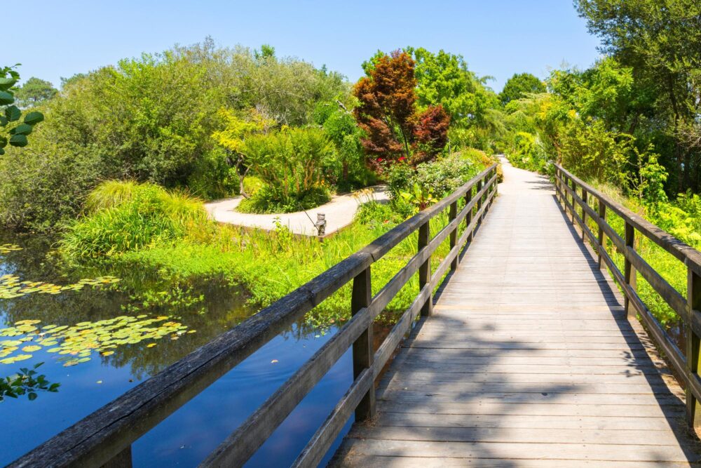 Promenade fleurie à l'étang d'Aureilhan, Landes