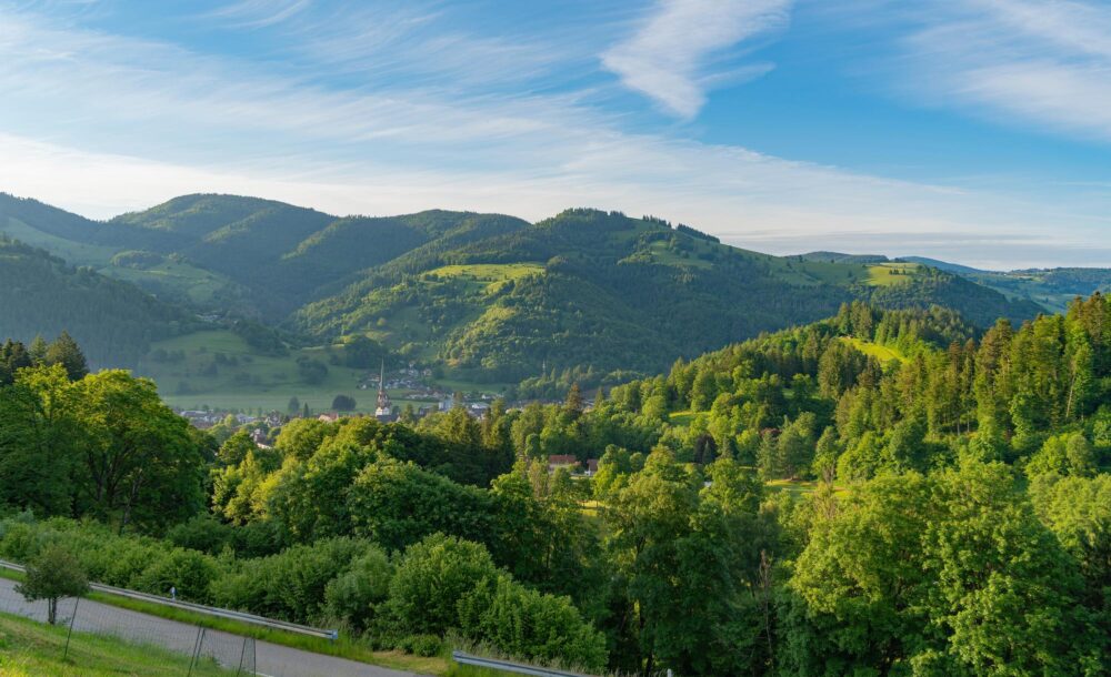 Schwarzwaldhochstrasse