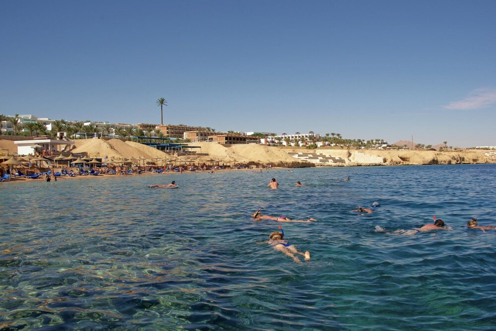 Snorkelers à Shark's Bay