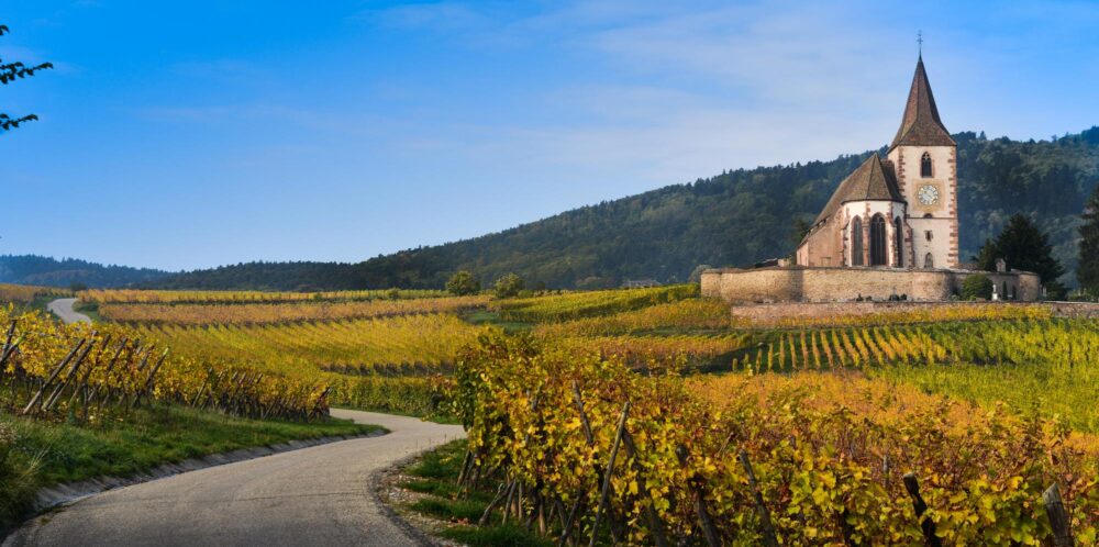 Sur la route des vins d'Alsace