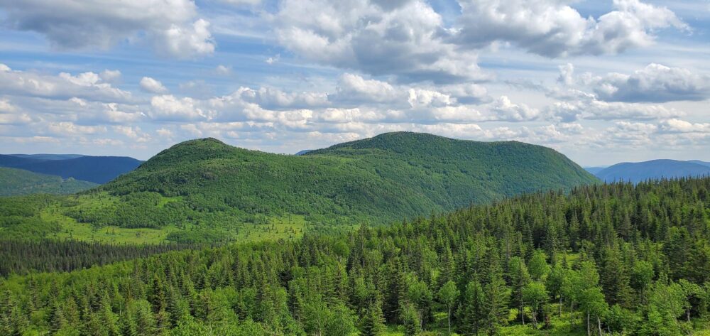 Les belles montagnes vertes du parc national de la Gaspésie au Québec
