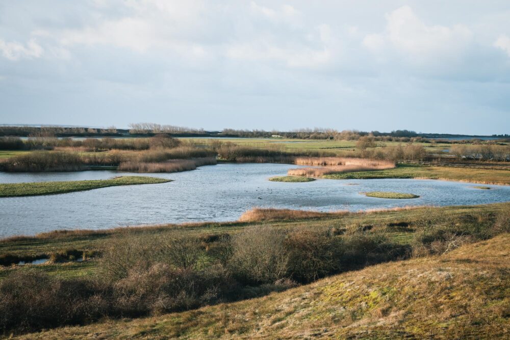 Parc du Marquenterre