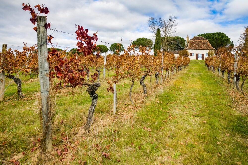 Vignoble de Pécharmant près de Bergerac