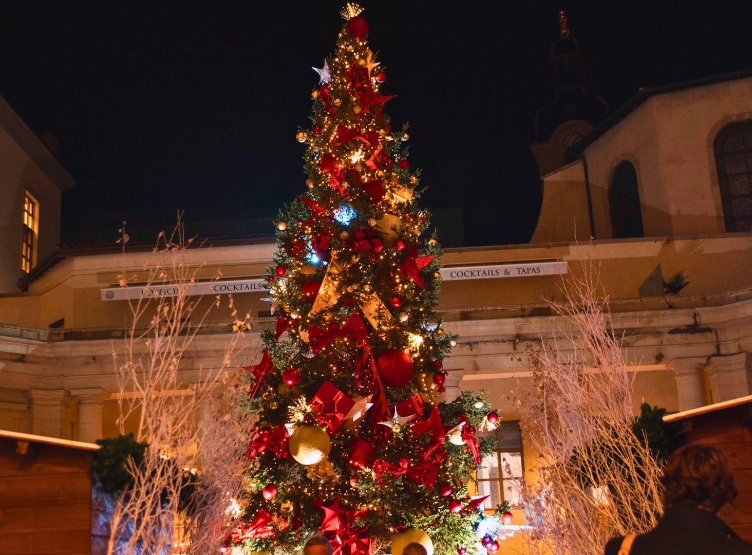 Que faire à Lyon en famille pour Noël ? Marchés, spectacles et sorties magiques image