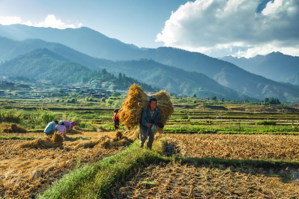 La vallée de Paro, Bhoutan